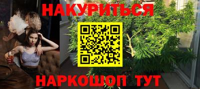 шишки Моздок