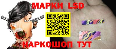 шишки Моздок