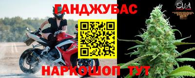шишки Моздок